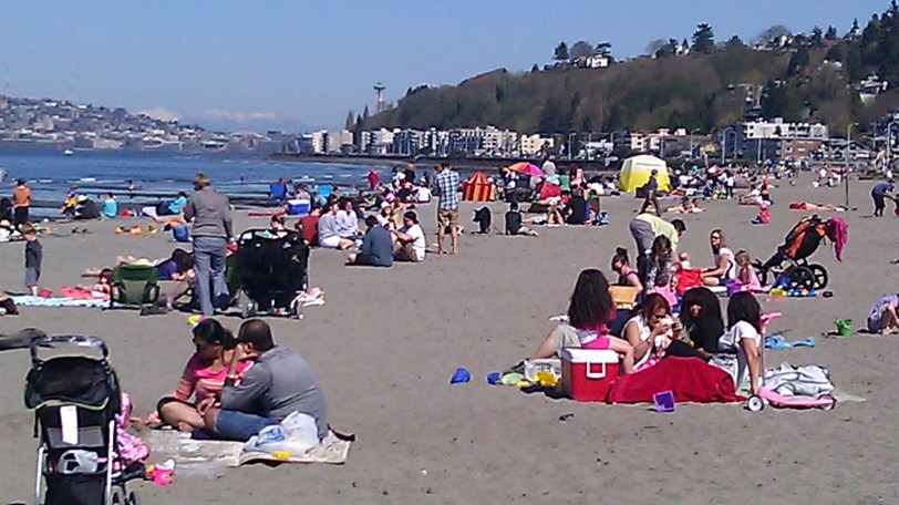 Everyone was out at the beach!