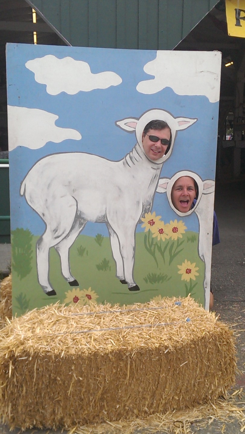 Some other animals..