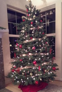 2013-12-07 21.18.09 tree at home