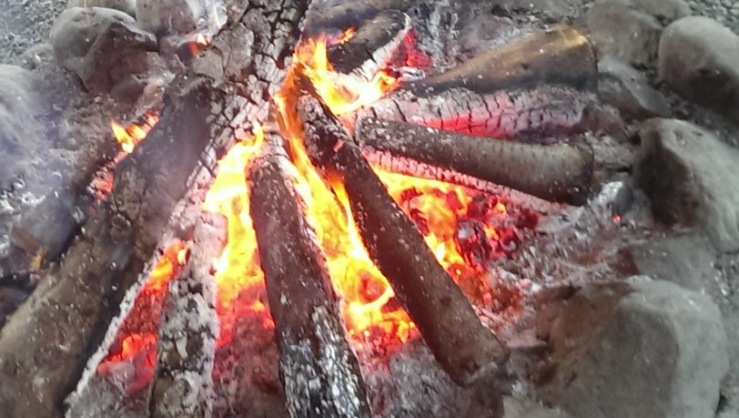 A wonder fire kept everyone warm, sharing stories of this years special tree