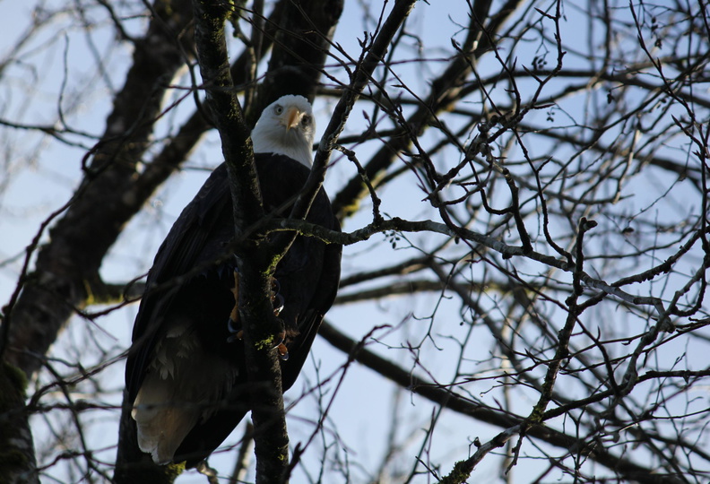 (Photo Courtesy of William Swearingen)