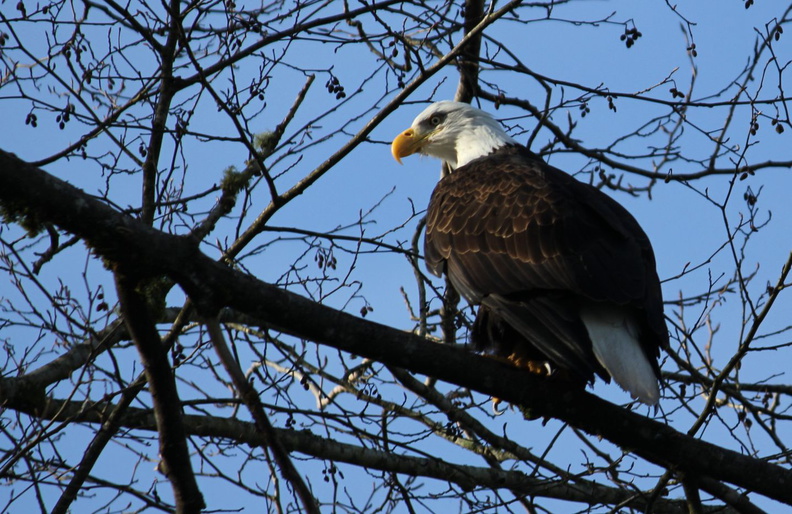 (Photo courtesy of William Swearingen)