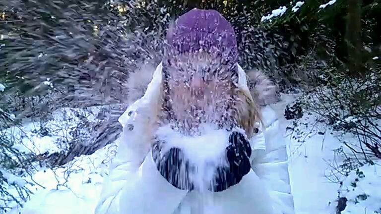 VIDEO0776_0000004410