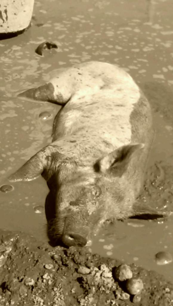 VIDEO0091_0000016035