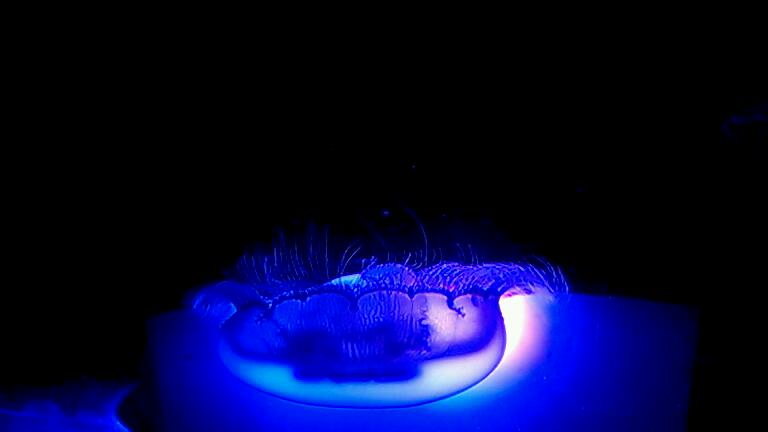 VIDEO0987_0000008719