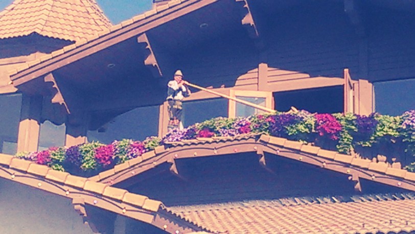 Bob Johnson and his alphorn