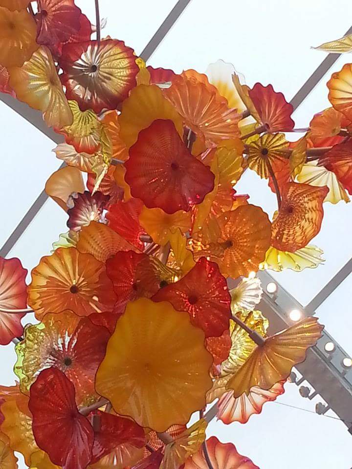 FB_IMG_1423622479076