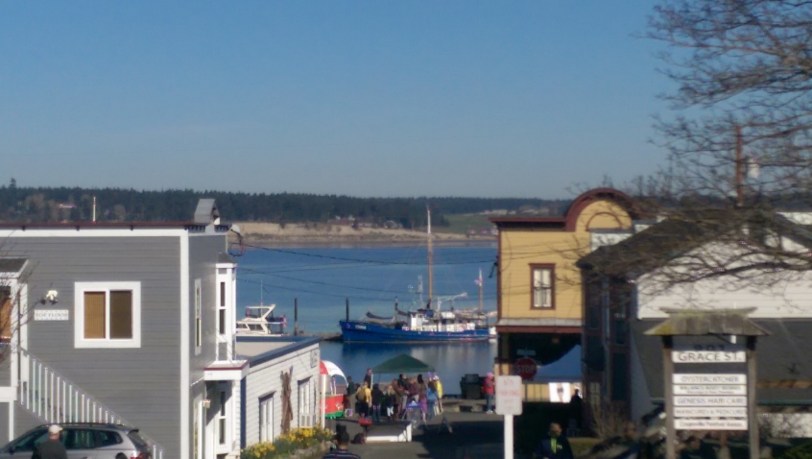 The town with cove in background