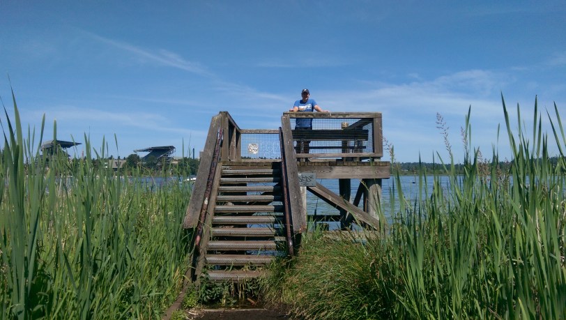 The reeds as viewed by land.