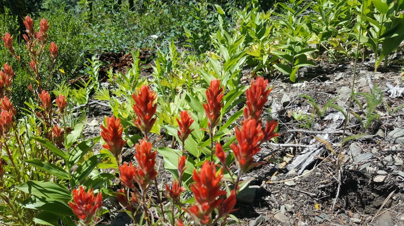 20160619_103652 - Copy